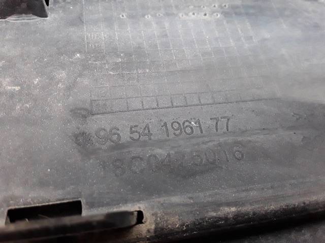 9654196177 Peugeot/Citroen