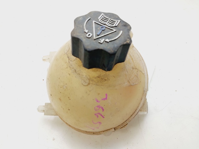 9654310780 Peugeot/Citroen