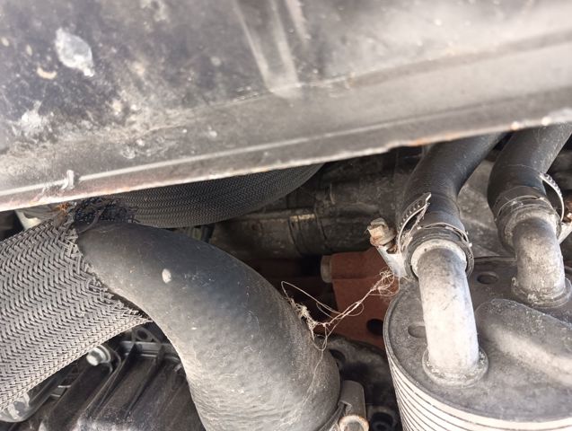 PEUGEOT 9654561480 Motor de arranque  en stock Terrassa