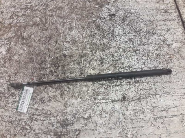 Muelle neumatico maletero 96548931 GM