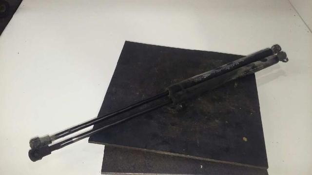 Muelle neumatico maletero 96548931 GM