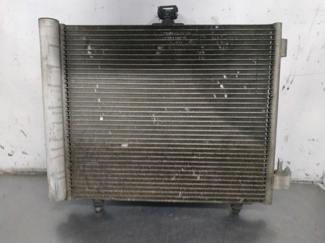 9655009380 Peugeot/Citroen