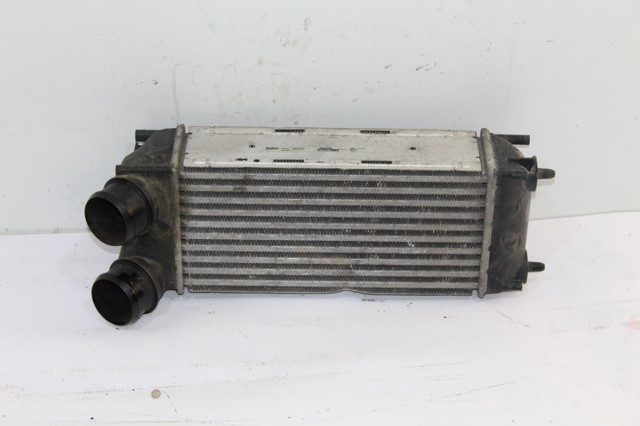 9656503480 Peugeot/Citroen