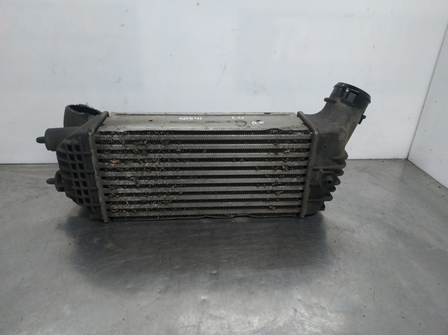 9656525880 Peugeot/Citroen