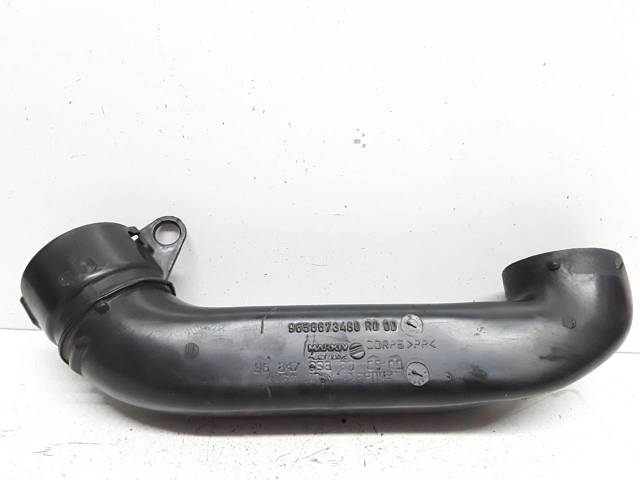 9656673480 Peugeot/Citroen