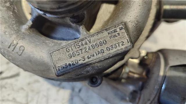 9657248680 Peugeot/Citroen