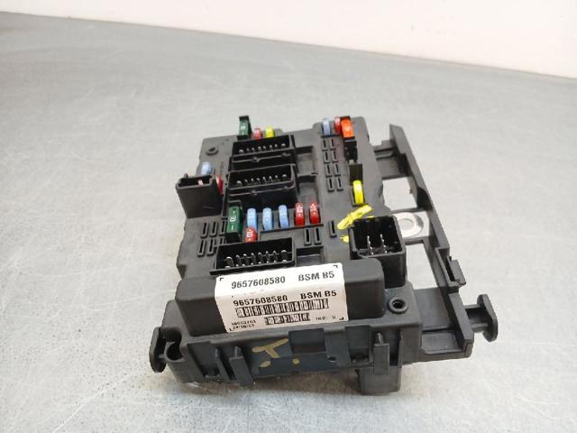 9657608580 Peugeot/Citroen