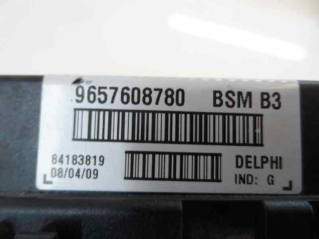 9657608780 Peugeot/Citroen