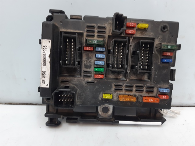 9657608880 Peugeot/Citroen