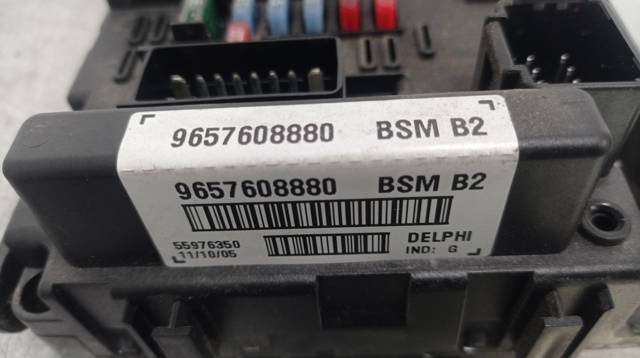 PEUGEOT 9657608880 Caja de fusibles  comprar en Murcia