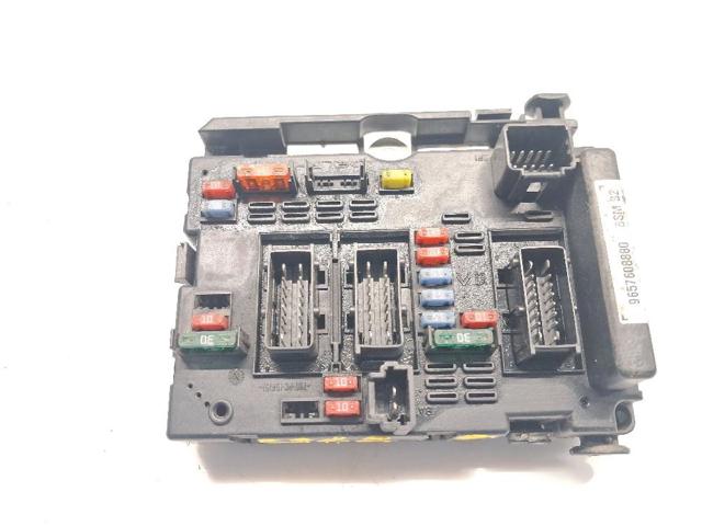 9657608880 Peugeot/Citroen