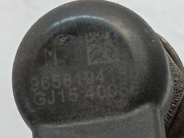 PEUGEOT 9658194180 Inyector comprar Pamplona