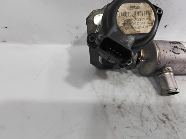 9658203780 PEUGEOT Válvula EGR comprar Bilbao