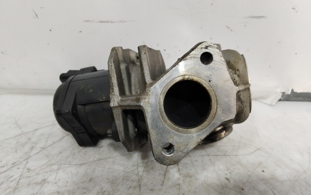 9658203780 PEUGEOT Válvula EGR  en stock Córdoba