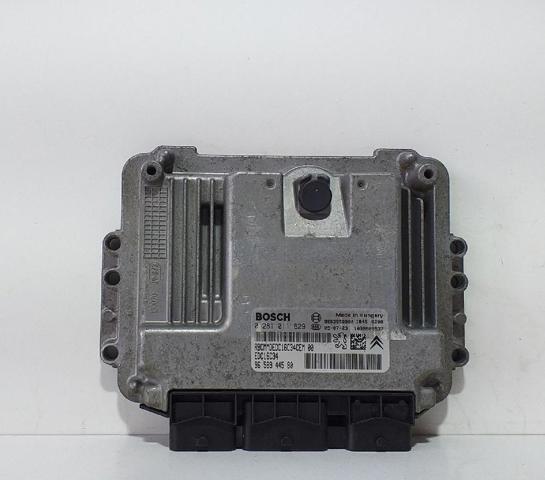 9658944580 Peugeot/Citroen