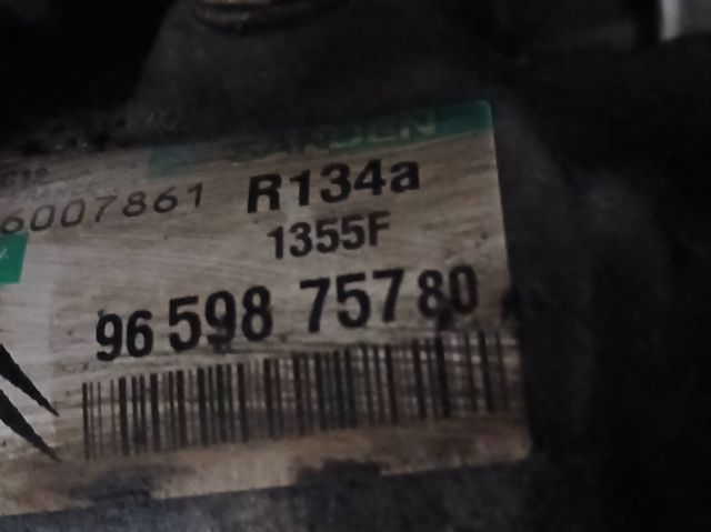 9659875780 Peugeot/Citroen