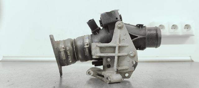 9660030480 Peugeot/Citroen