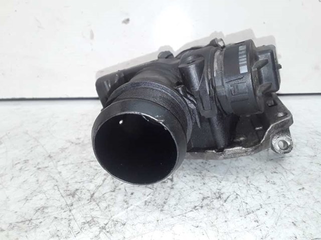 PEUGEOT 9660030480 Cuerpo de aceleración completo  comprar en Albacete