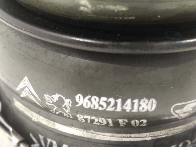 9660030480 Cuerpo de mariposa completo  disponible Burgos