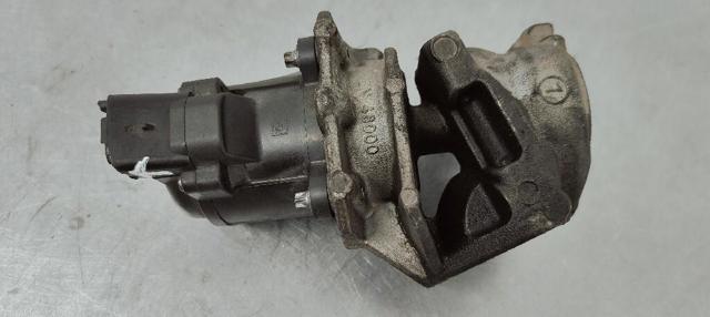 Válvula, AGR Peugeot Partner