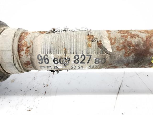 9660782780 PEUGEOT  comprar en Jaén