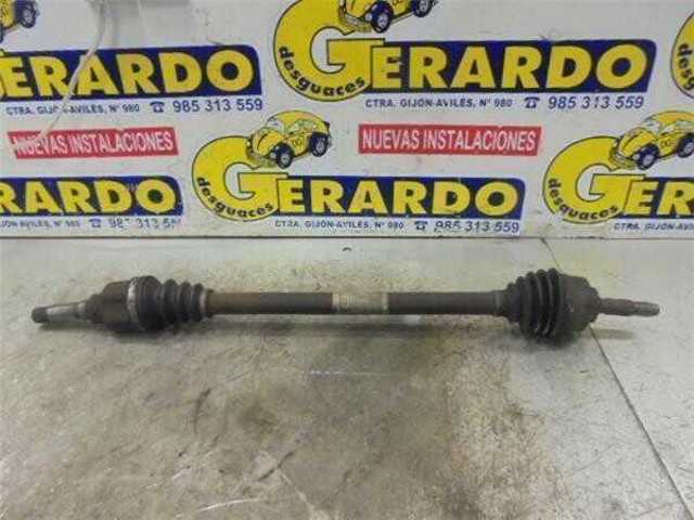 9660782880 Peugeot/Citroen