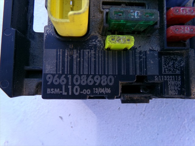 9661086980 Peugeot/Citroen