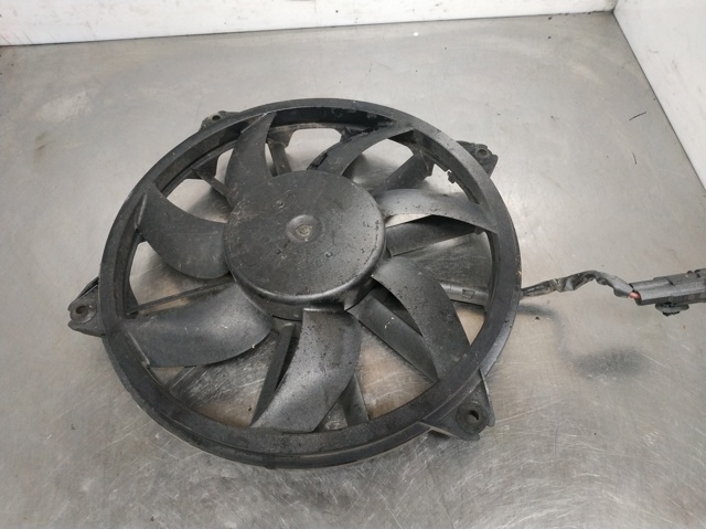 PEUGEOT 9661571480 Ventilador eléctrico de refrigeración completo (motor y hélice)  disponible España