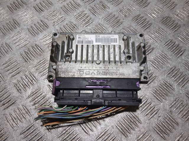 9661983980 Peugeot/Citroen
