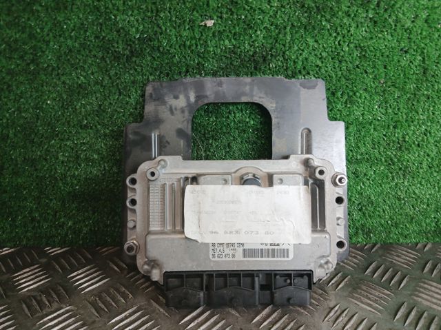 9662307380 Peugeot/Citroen
