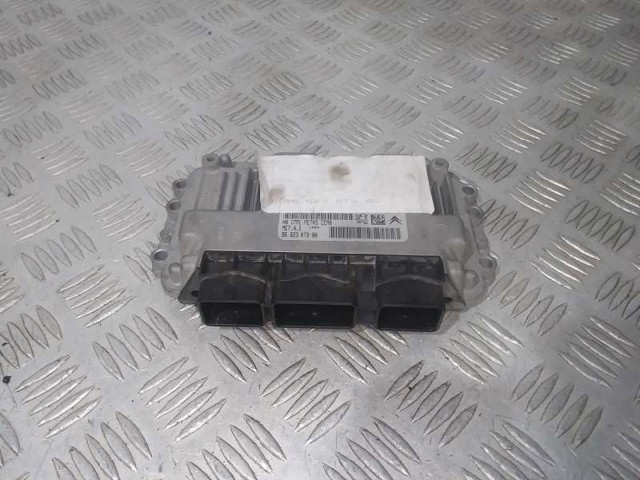 9662307380 Peugeot/Citroen