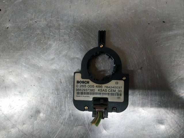 9662937380 Peugeot/Citroen