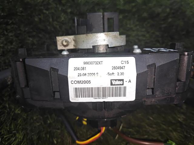 96630732XT Peugeot/Citroen