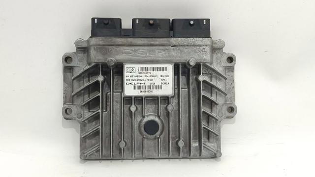 9663548180 Peugeot/Citroen