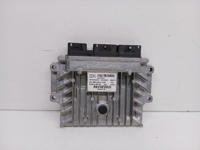 9663548180 Peugeot/Citroen