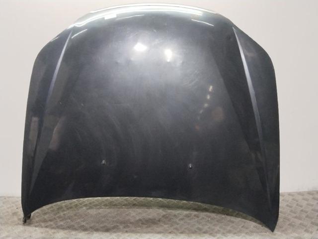 Capó delantero 96636344 GM