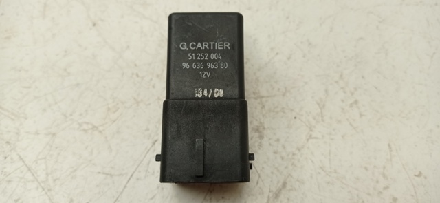 9663696380 Peugeot/Citroen