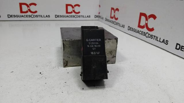 9663696380 Peugeot/Citroen
