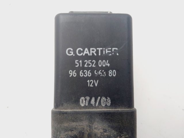 9663696380 Peugeot/Citroen