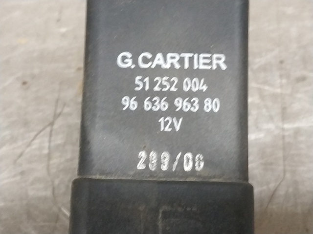 9663696380 Peugeot/Citroen