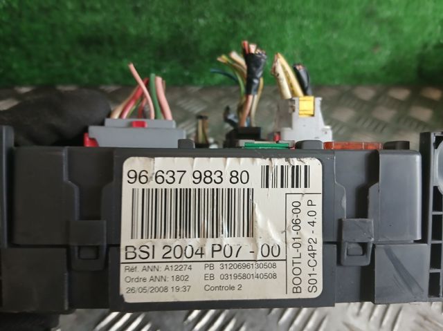9663798380 Peugeot/Citroen