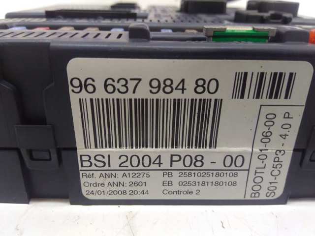 9663798480 Peugeot/Citroen