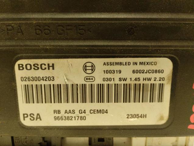 9663821780 Peugeot/Citroen