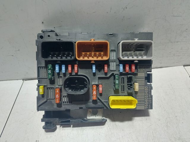 9664055480 Peugeot/Citroen