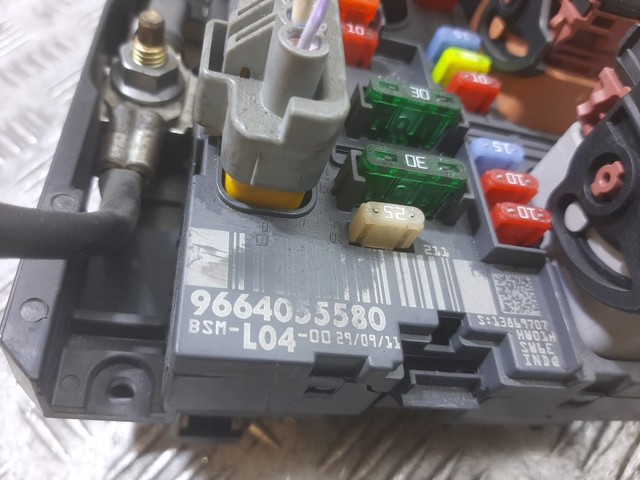9664055580 Peugeot/Citroen