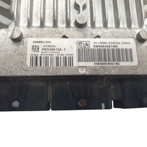 9664287480 Peugeot/Citroen