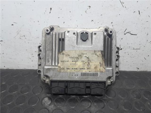 9664618080 Peugeot/Citroen