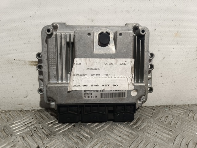 9664843780 Peugeot/Citroen
