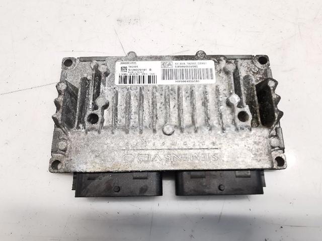9664859580 Peugeot/Citroen