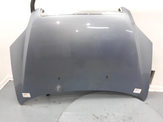Capó delantero 96649257 GM